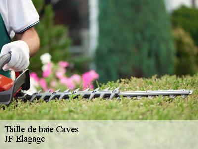 Taille de haie  caves-11510 JF Elagage