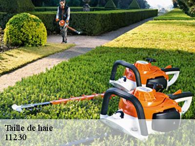 Taille de haie  chalabre-11230 JF Elagage