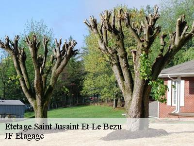 Etetage  saint-jusaint-et-le-bezu-11500 JF Elagage