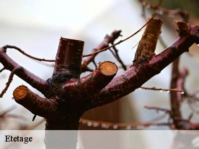 Etetage 11 Aude  Jardin Paysage