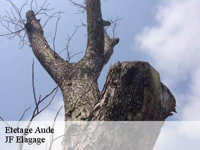 Etetage 11 Aude  Jardin Paysage
