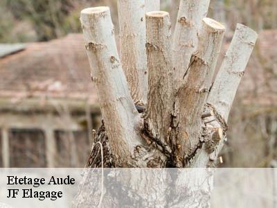 Etetage 11 Aude  Jardin Paysage