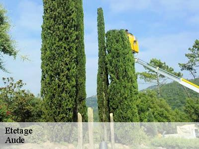 Etetage 11 Aude  Jardin Paysage