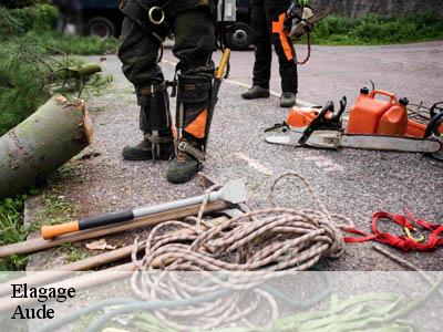 Elagage 11 Aude  Jardin Paysage