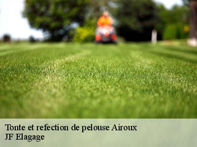 Tonte et refection de pelouse  airoux-11320 JF Elagage