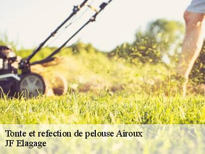 Tonte et refection de pelouse  airoux-11320 JF Elagage