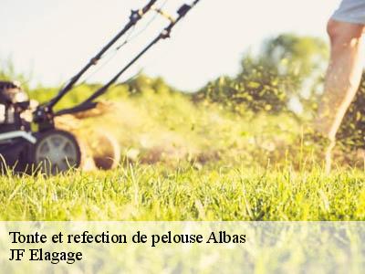 Tonte et refection de pelouse  albas-11360 JF Elagage