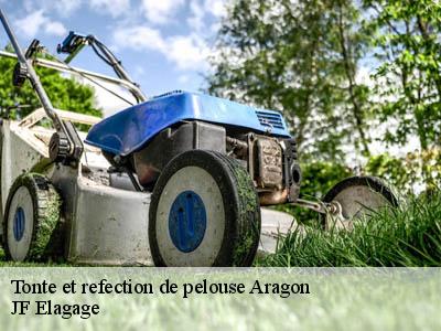 Tonte et refection de pelouse  aragon-11600 JF Elagage
