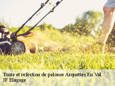 Tonte et refection de pelouse  arquettes-en-val-11220 JF Elagage