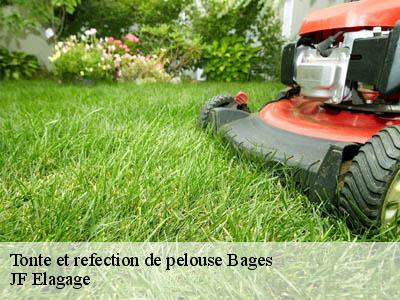 Tonte et refection de pelouse  bages-11100 JF Elagage