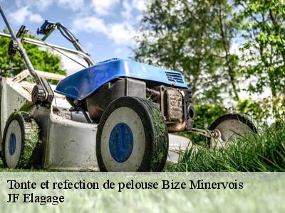 Tonte et refection de pelouse  bize-minervois-11120 JF Elagage