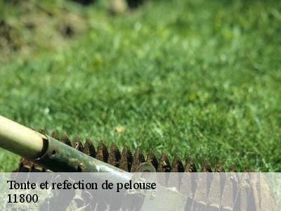 Tonte et refection de pelouse  bouilhonnac-11800 JF Elagage