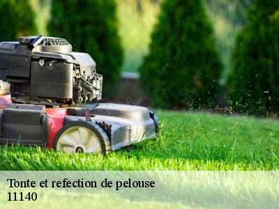 Tonte et refection de pelouse  le-bousquet-11140 DEBORD Elagage 11