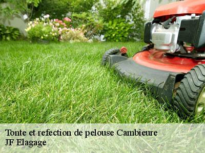 Tonte et refection de pelouse  cambieure-11240 JF Elagage