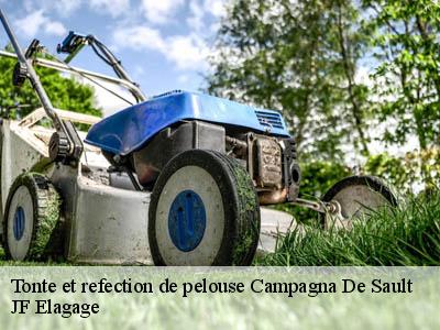 Tonte et refection de pelouse  campagna-de-sault-11140 JF Elagage