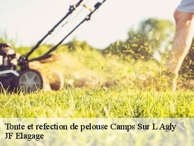 Tonte et refection de pelouse  camps-sur-l-agly-11190 JF Elagage