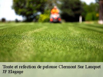 Tonte et refection de pelouse  clermont-sur-lauquet-11250 JF Elagage