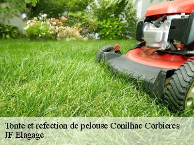 Tonte et refection de pelouse  conilhac-corbieres-11200 JF Elagage