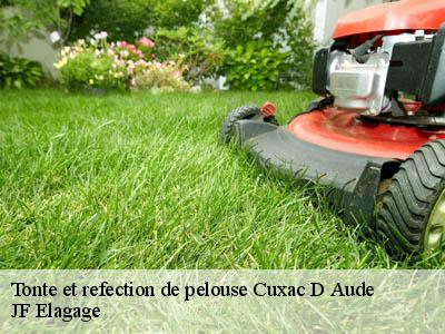 Tonte et refection de pelouse  cuxac-d-aude-11590 JF Elagage