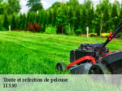 Tonte et refection de pelouse  dernacueillette-11330 JF Elagage