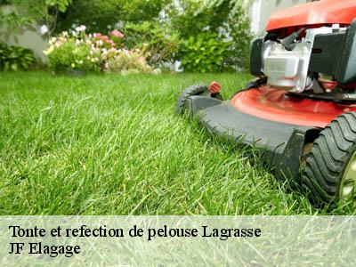 Tonte et refection de pelouse  lagrasse-11220 JF Elagage