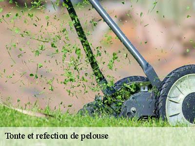 Tonte et refection de pelouse  maisons-11330 JF Elagage