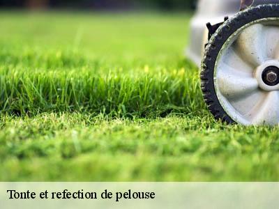 Tonte et refection de pelouse  maisons-11330 JF Elagage