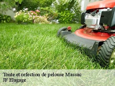 Tonte et refection de pelouse  massac-11330 JF Elagage