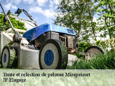 Tonte et refection de pelouse  mirepeisset-11120 JF Elagage