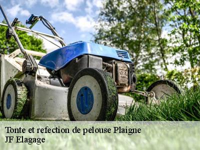Tonte et refection de pelouse  plaigne-11420 JF Elagage