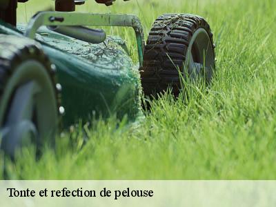 Tonte et refection de pelouse  rustiques-11800 JF Elagage