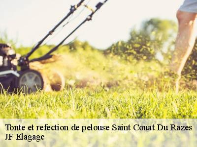 Tonte et refection de pelouse  saint-couat-du-razes-11300 DEBORD Elagage 11