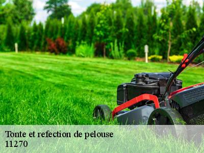 Tonte et refection de pelouse  saint-julien-de-briola-11270 JF Elagage