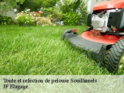 Tonte et refection de pelouse  souilhanels-11400 JF Elagage