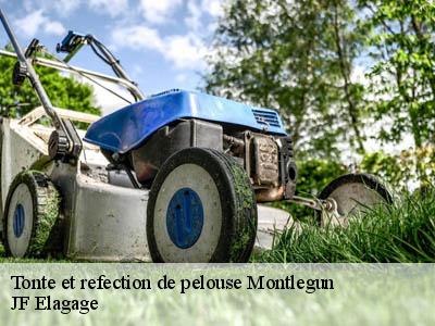Tonte et refection de pelouse  montlegun-11090 JF Elagage