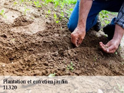 Plantation et entretien jardin  airoux-11320 JF Elagage