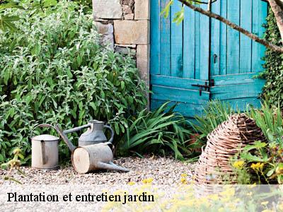 Plantation et entretien jardin  airoux-11320 JF Elagage