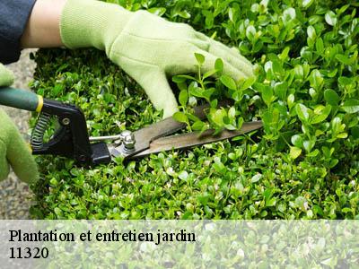 Plantation et entretien jardin  airoux-11320 JF Elagage