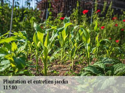 Plantation et entretien jardin  alet-les-bains-11580 JF Elagage