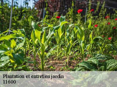 Plantation et entretien jardin  aragon-11600 JF Elagage