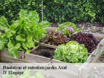 Plantation et entretien jardin  axat-11140 JF Elagage