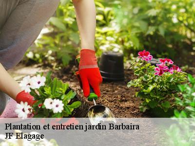 Plantation et entretien jardin  barbaira-11800 JF Elagage
