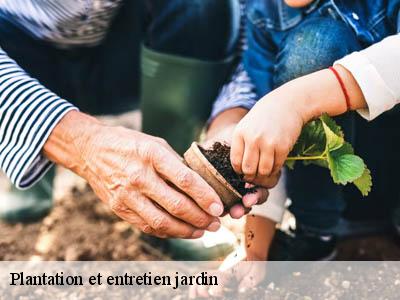 Plantation et entretien jardin  bellegarde-du-razes-11240 Jardin Paysage
