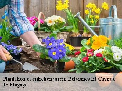 Plantation et entretien jardin  belvianes-et-cavirac-11500 JF Elagage
