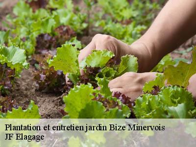 Plantation et entretien jardin  bize-minervois-11120 JF Elagage