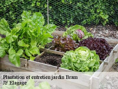 Plantation et entretien jardin  bram-11150 JF Elagage