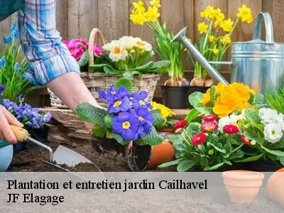 Plantation et entretien jardin  cailhavel-11240 JF Elagage