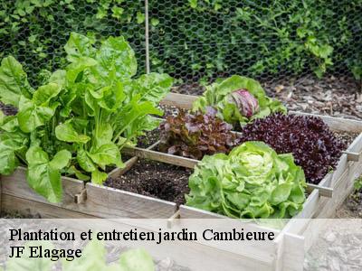 Plantation et entretien jardin  cambieure-11240 JF Elagage