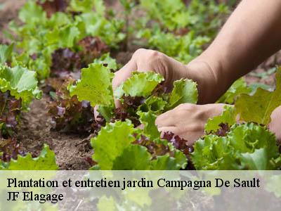 Plantation et entretien jardin  campagna-de-sault-11140 JF Elagage