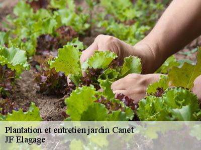 Plantation et entretien jardin  canet-11200 JF Elagage